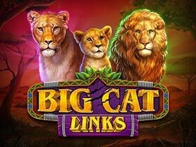 Big Cat links